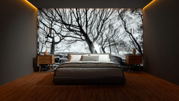 Rooted in Silence