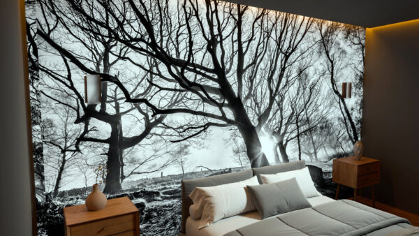 Rooted in Silence - Image 3