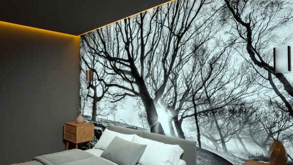 Rooted in Silence - Image 4