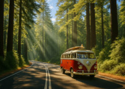 Into the Pines – Bohemian Wallpaper Mural