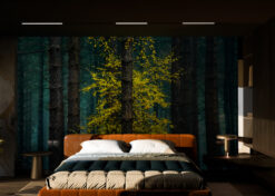 Misty Forest