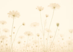 Queen Anne’s Glow – Sepia Wildflower Silhouette Mural Wallpaper
