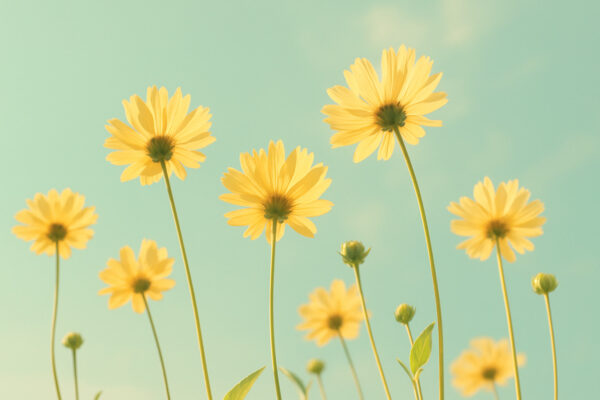 Golden Daisies in the Sky – Retro Sunlit Floral Wallpaper
