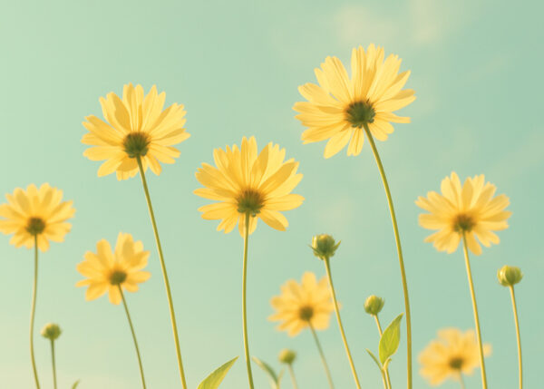 Golden Daisies in the Sky – Retro Sunlit Floral Wallpaper