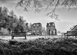 Frozen Silence – Roche Abbey Wallpaper Mural