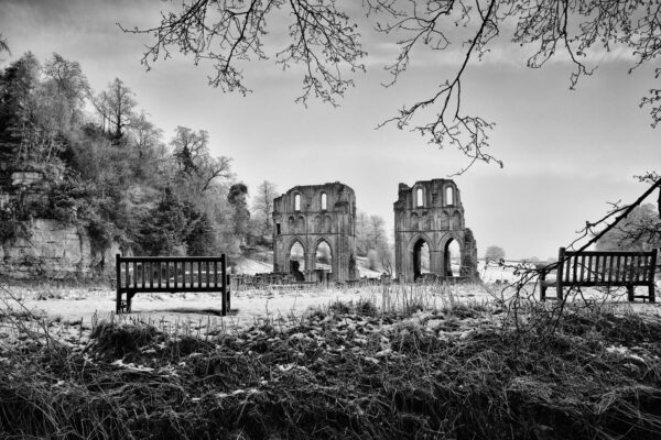 Frozen Silence – Roche Abbey Wallpaper Mural