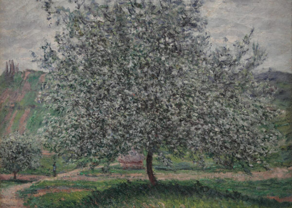 Le Pommier – Monet Canvas Print