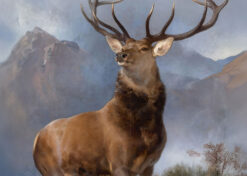 The Monarch of the Glen - Edwin Landseer