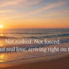 Real Love Canvas Print
