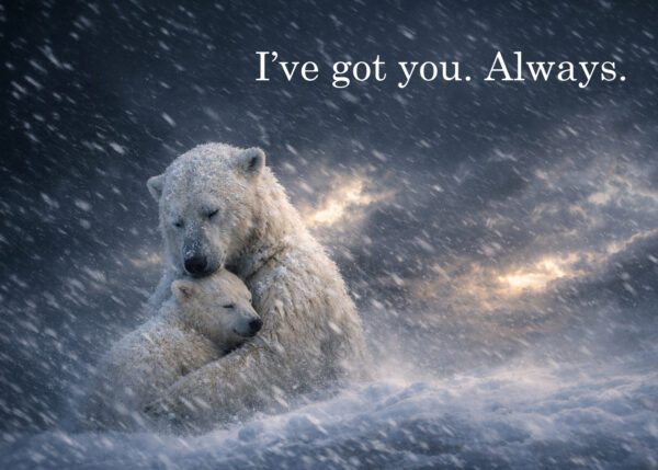 Polar Embrace – “I’ve Got You. Always.