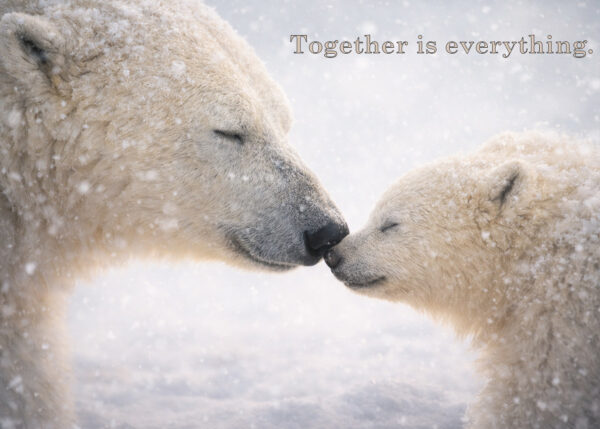 Together Is Everything – Polar Bear Canvas Print